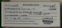 Image Associated With the Occurence